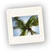 Saona (11).jpg